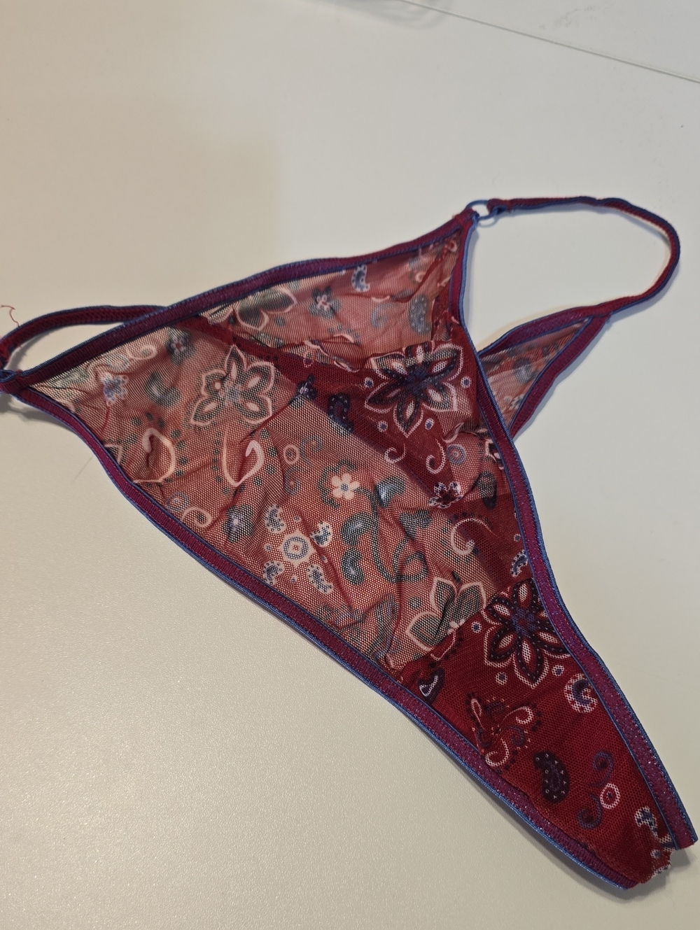 Sheer Floral Paisley Thong Panty